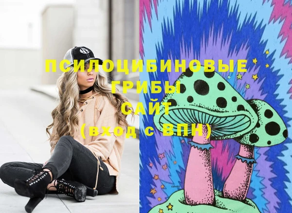 МДМА Горнозаводск
